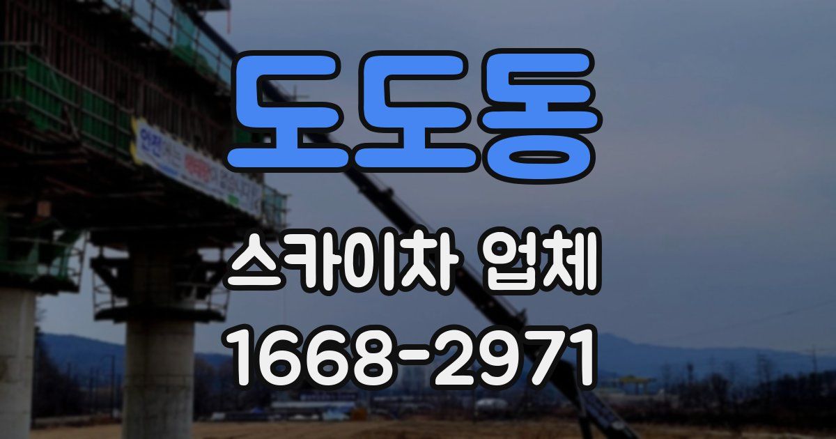 도도동 스카이차 업체