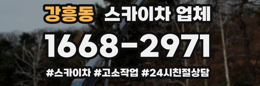 강흥동 스카이차 업체