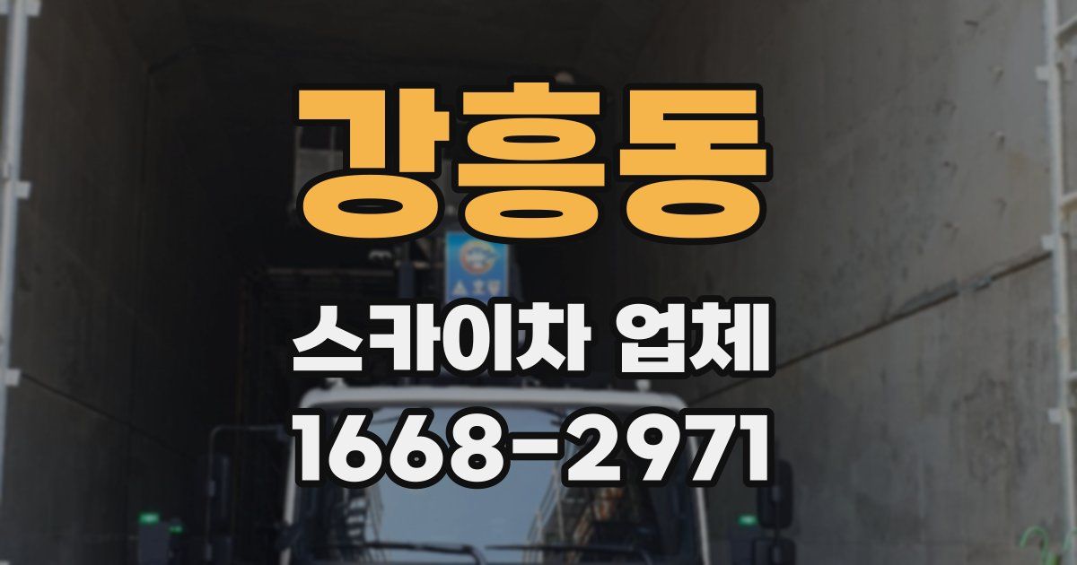 강흥동 스카이차 업체