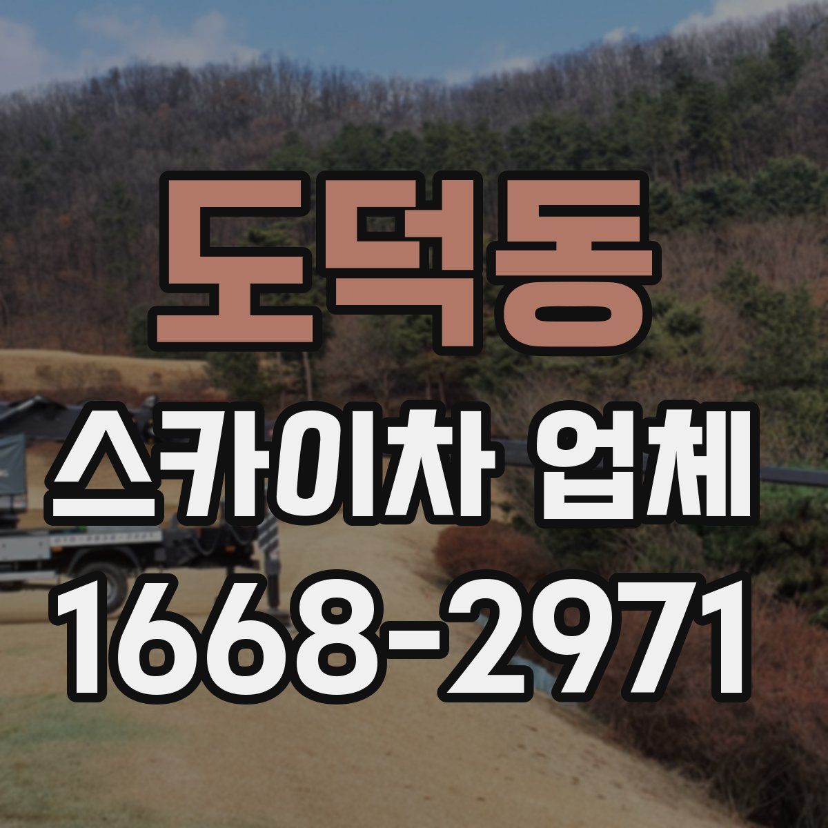 도덕동 스카이차 업체