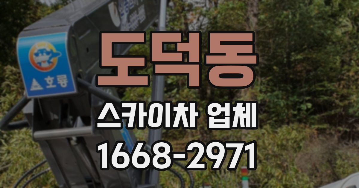 도덕동 스카이차 업체