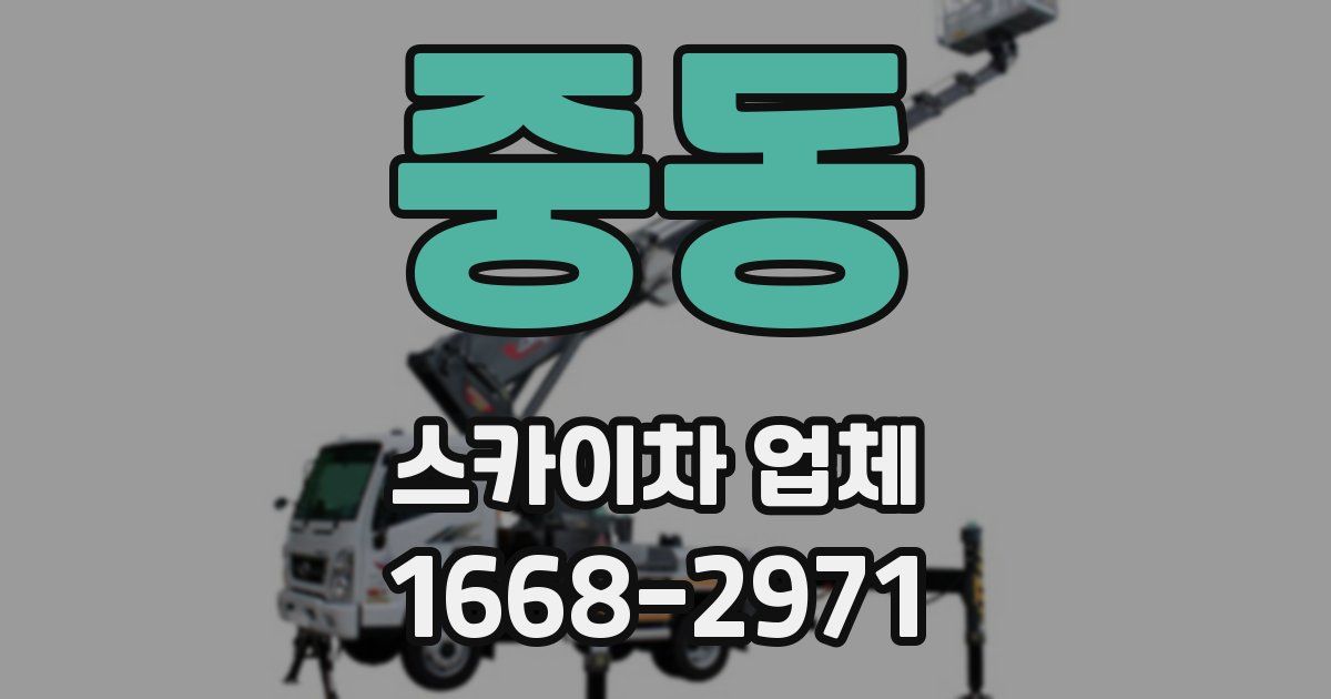 중동 스카이차 업체