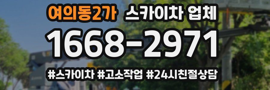 여의동2가 스카이차 업체