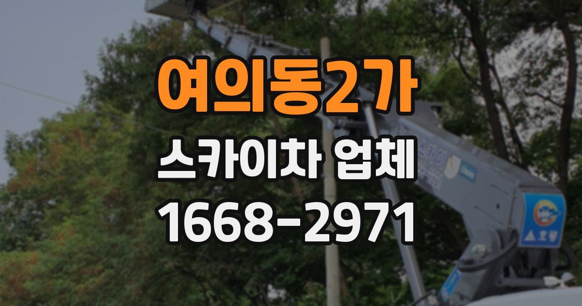 여의동2가 스카이차 업체