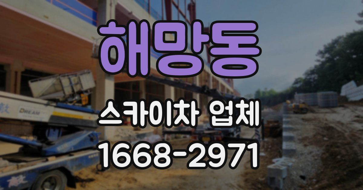 해망동 스카이차 업체