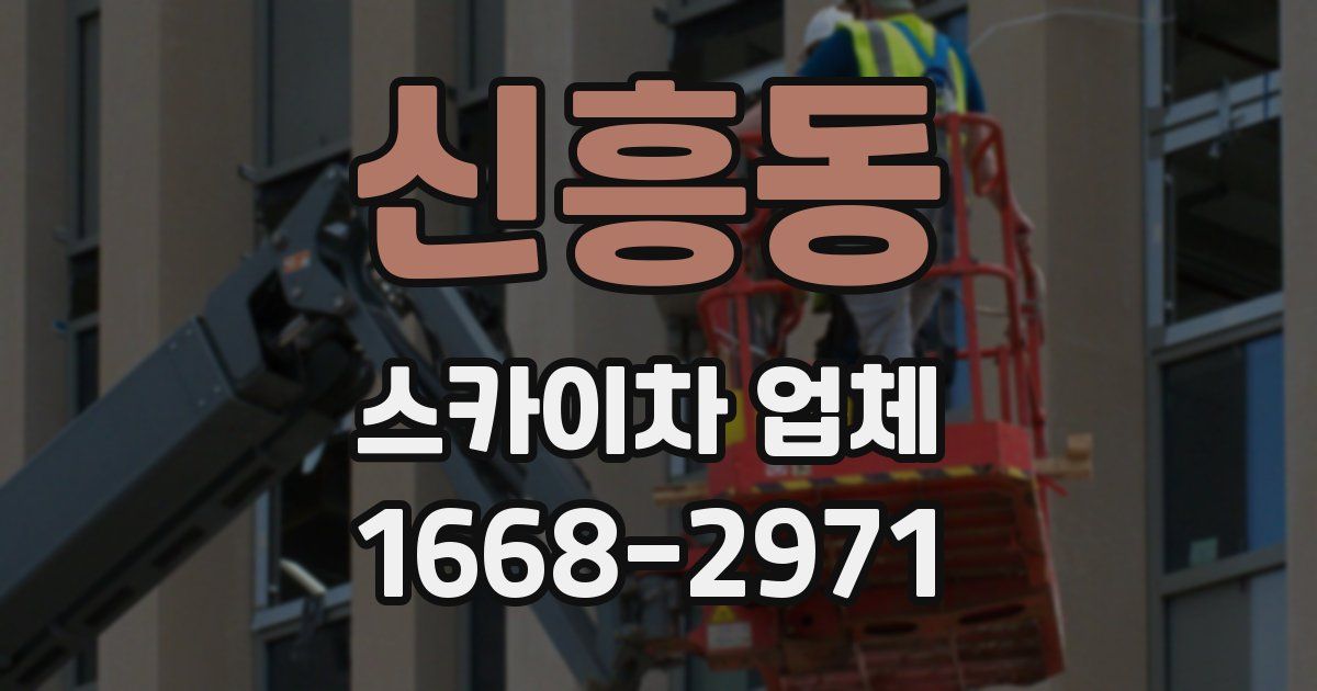 신흥동 스카이차 업체