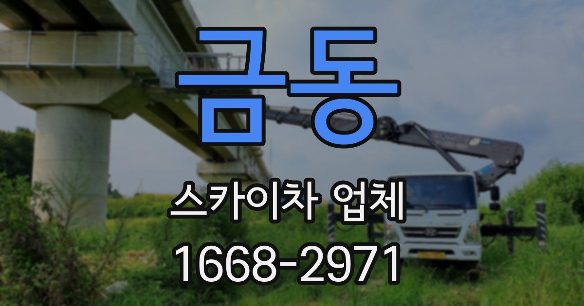 금동 스카이차 업체