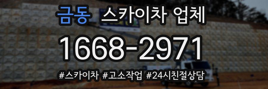 금동 스카이차 업체