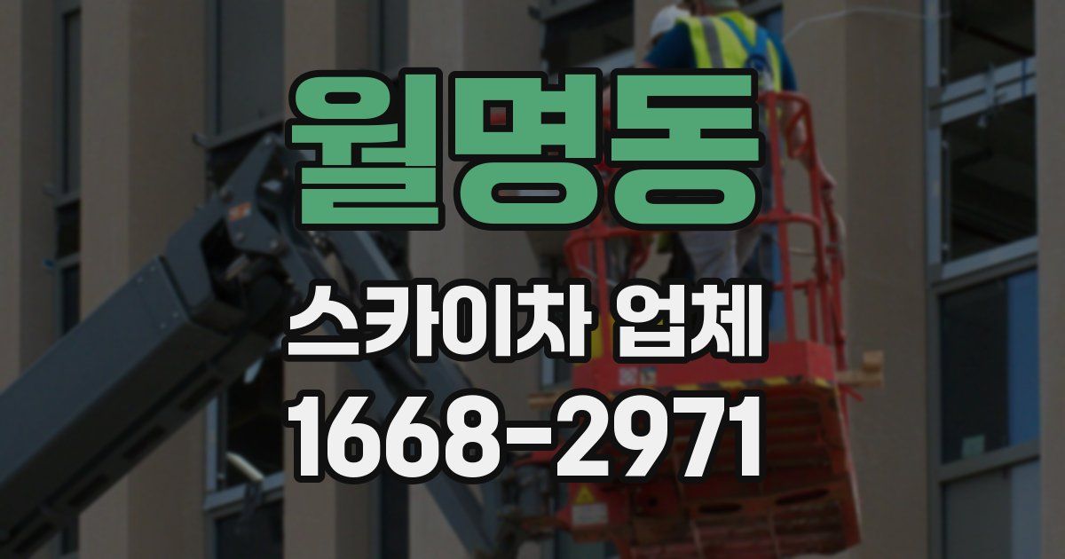 월명동 스카이차 업체