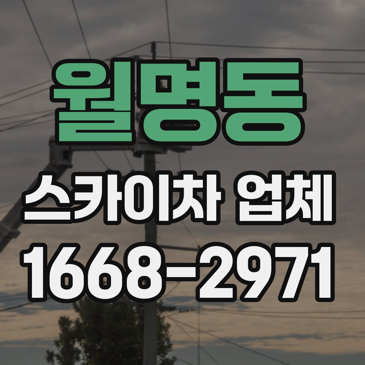 월명동 스카이차 업체
