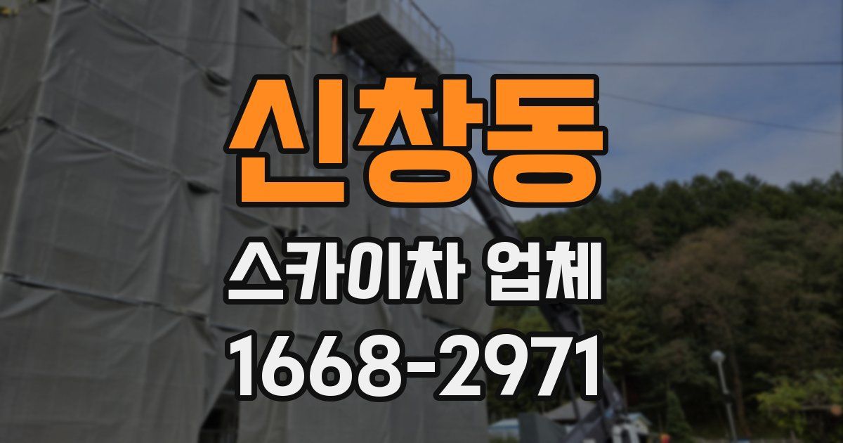 신창동 스카이차 업체