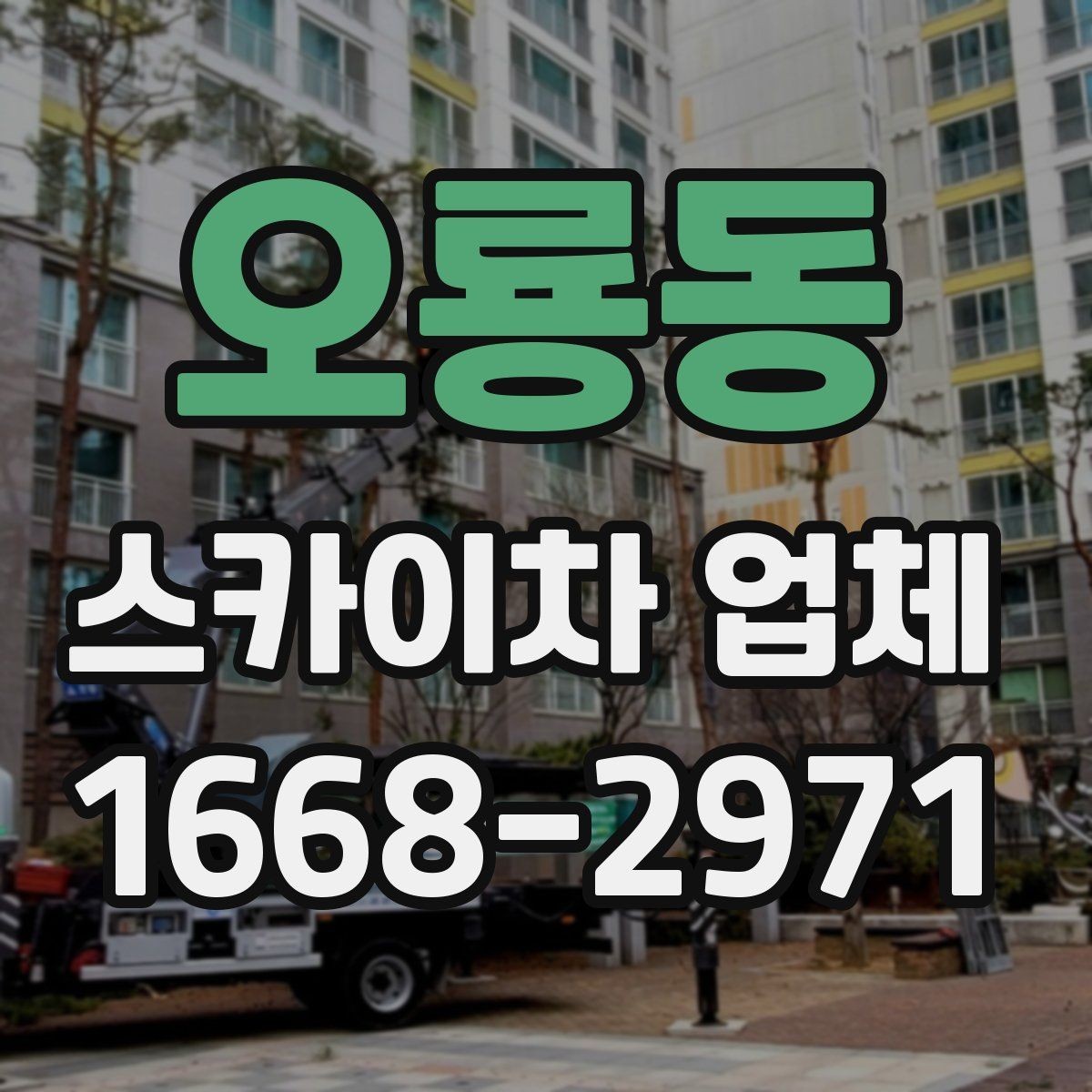 오룡동 스카이차 업체 선택 전 확인할 점