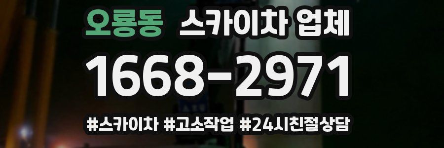 오룡동 스카이차 업체