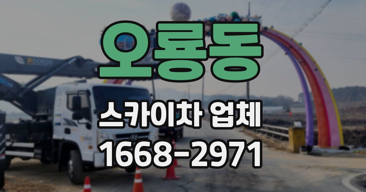 오룡동 스카이차 업체