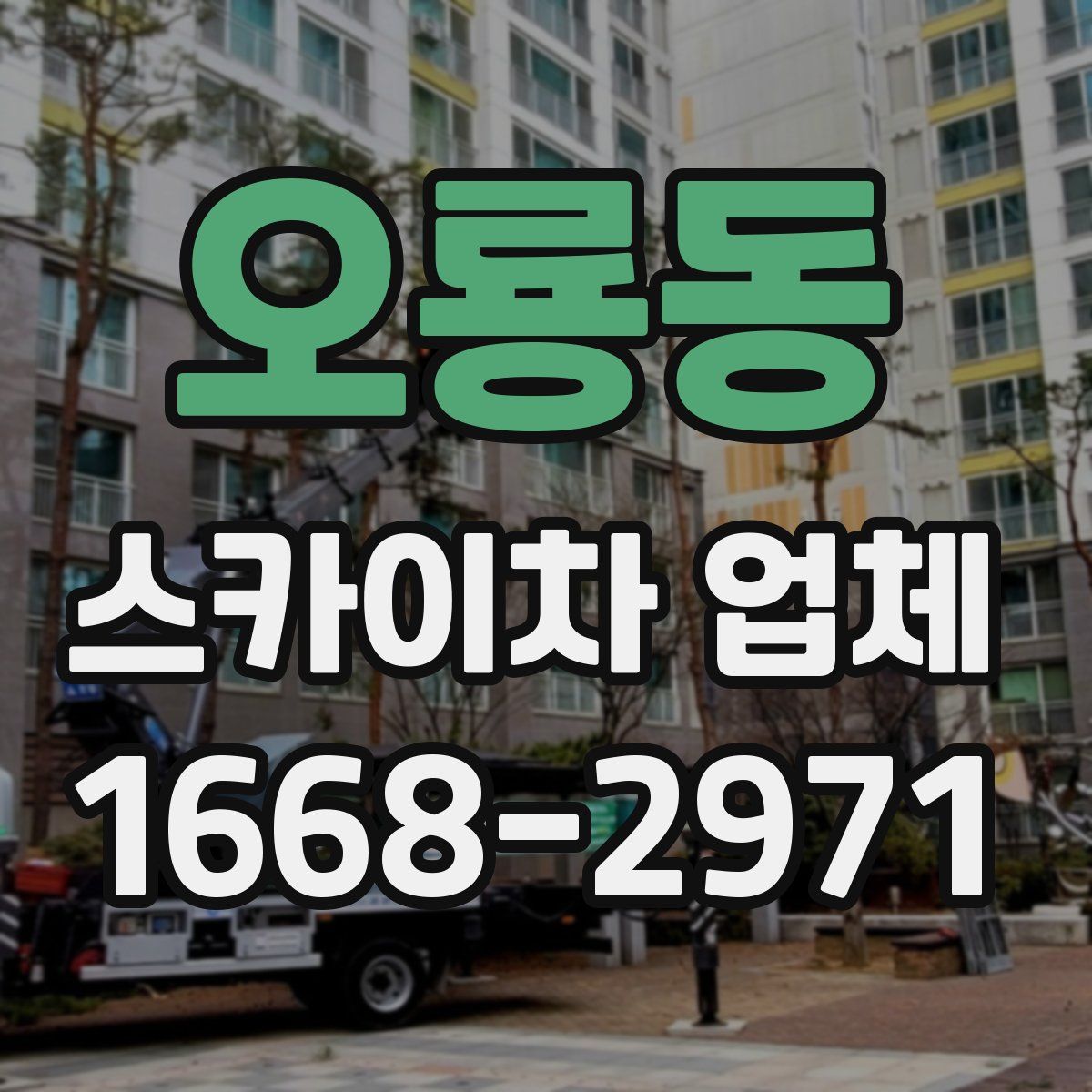 오룡동 스카이차 업체