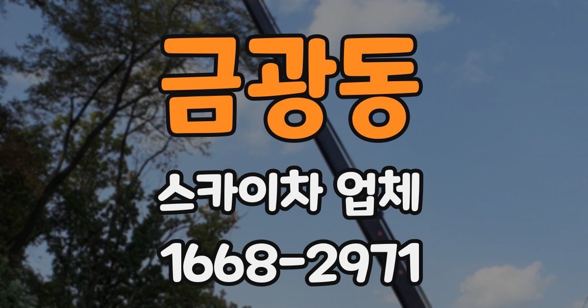금광동 스카이차 업체