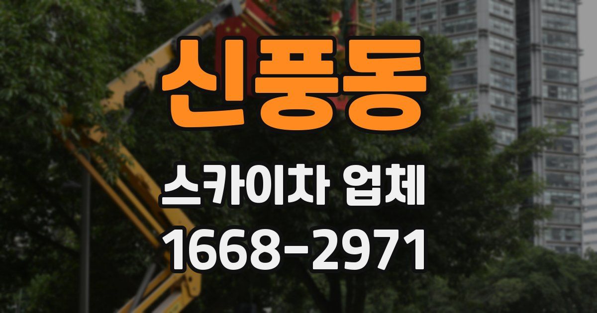 신풍동 스카이차 업체