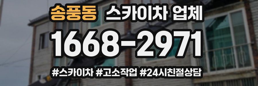 송풍동 스카이차 업체
