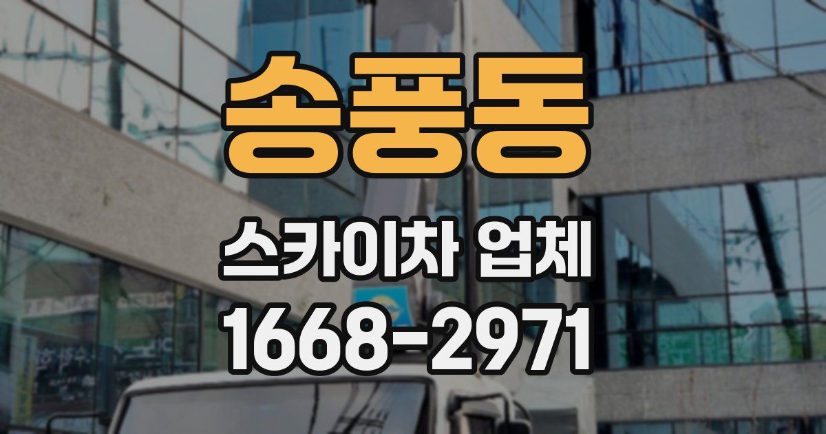 송풍동 스카이차 업체