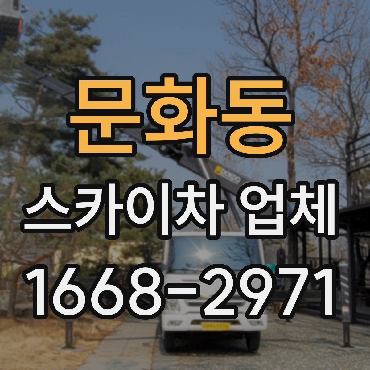 문화동 스카이차 업체