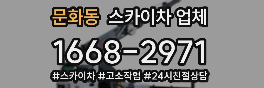 문화동 스카이차 업체