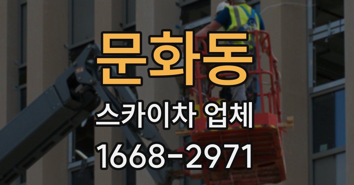 문화동 스카이차 업체