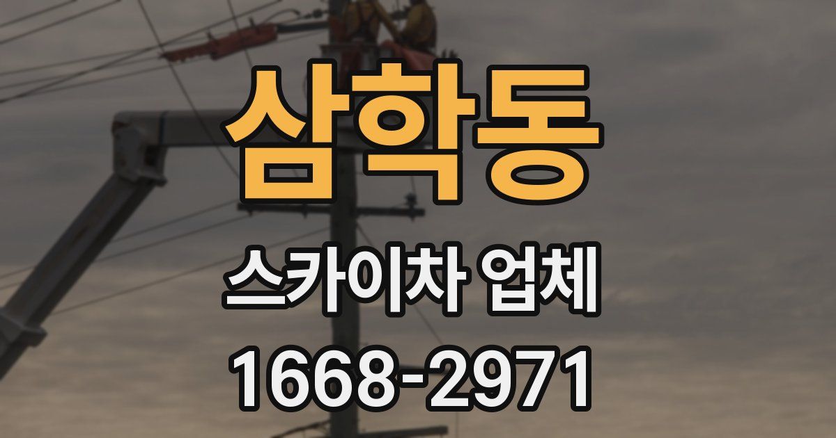 삼학동 스카이차 업체