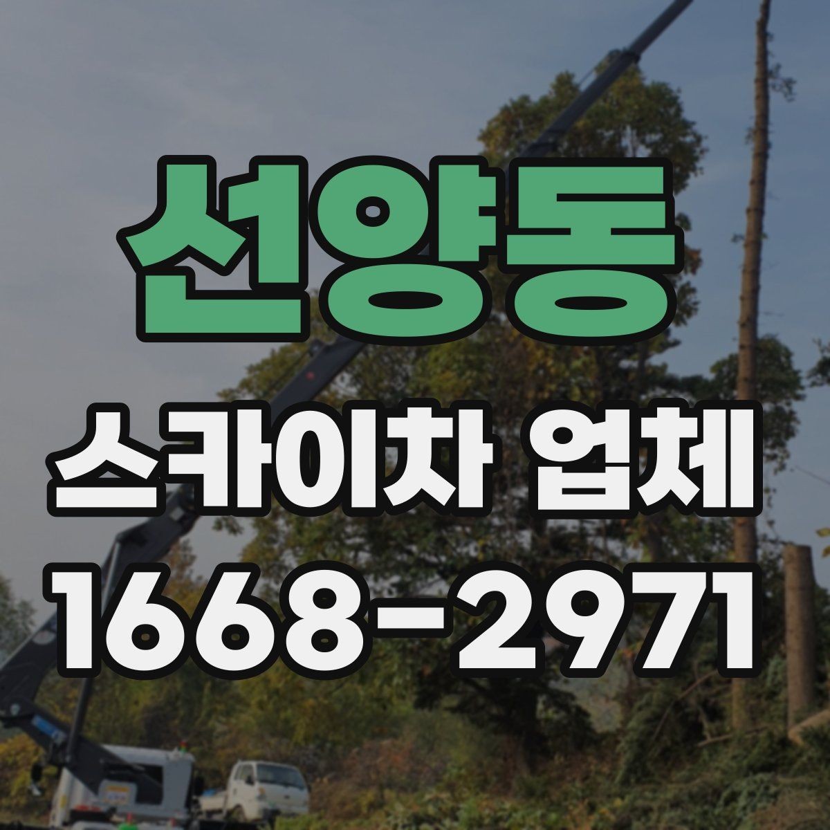 선양동 스카이차 업체 이용 절차와 준비사항