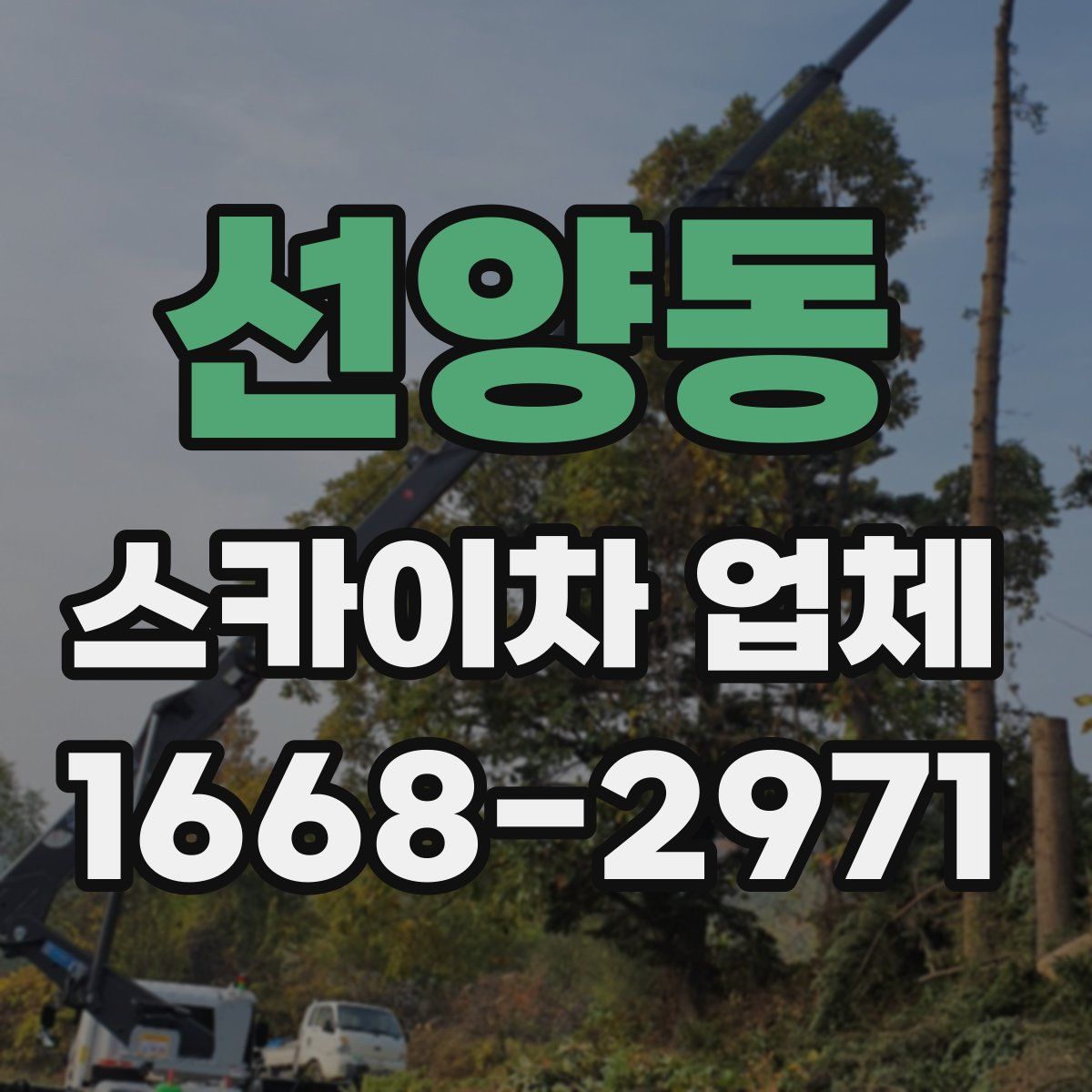 선양동 스카이차 업체