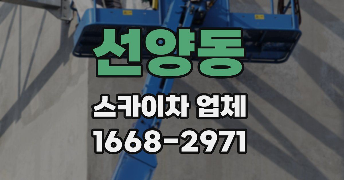 선양동 스카이차 업체