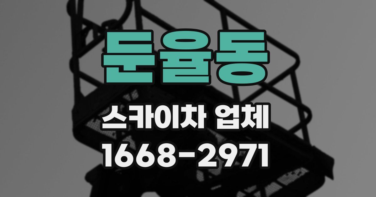 둔율동 스카이차 업체