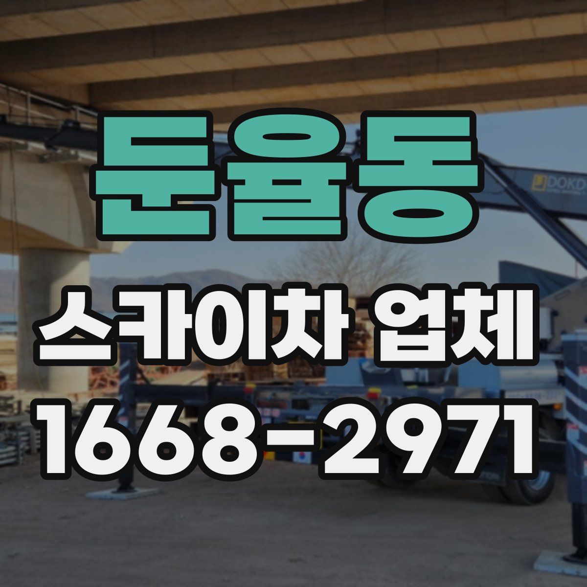 둔율동 스카이차 업체