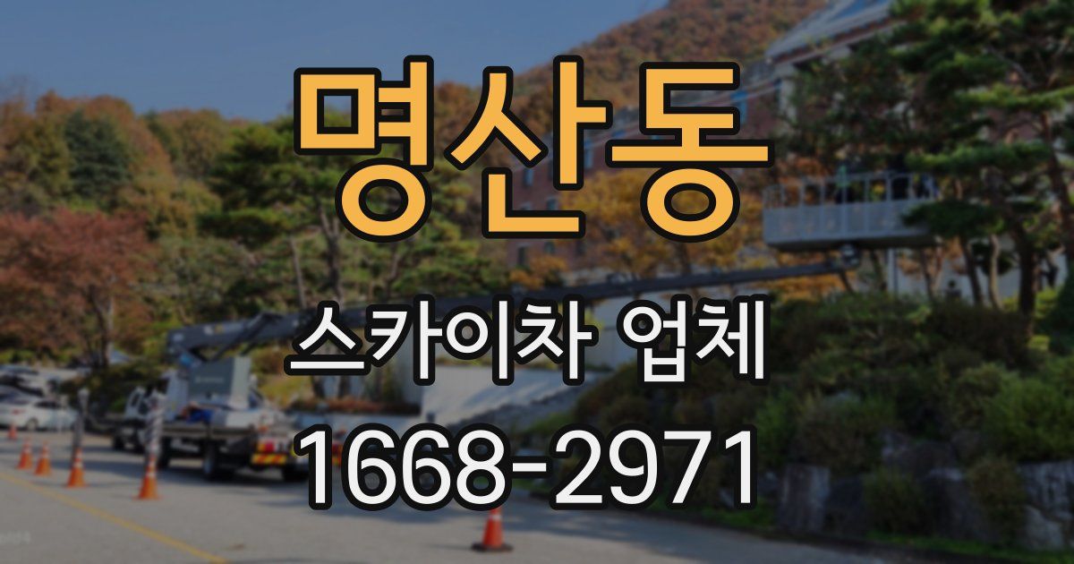 명산동 스카이차 업체