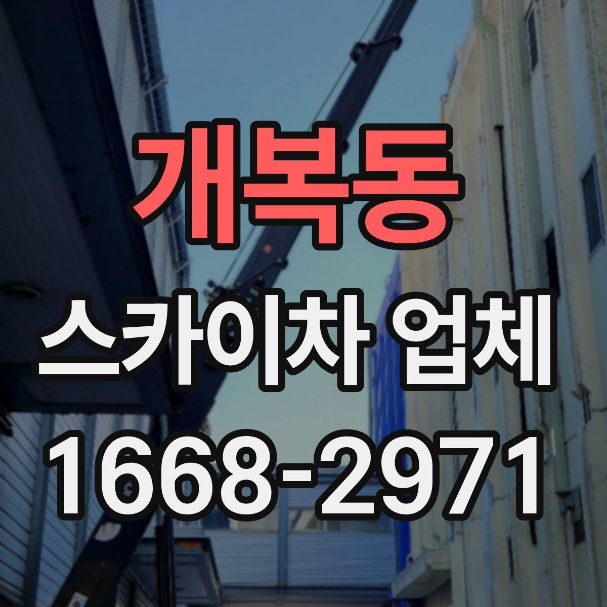 개복동 스카이차 업체