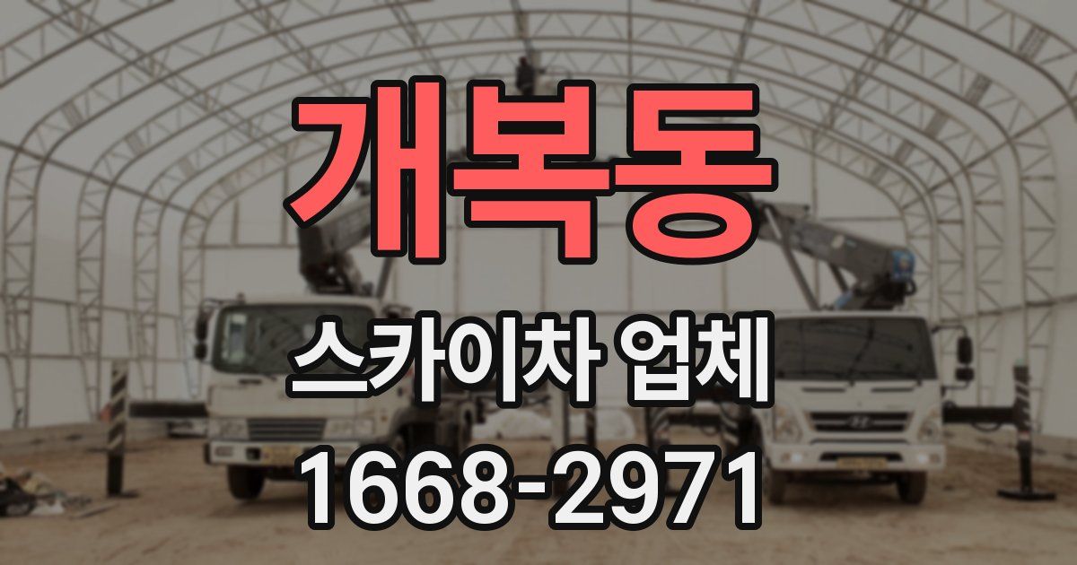 개복동 스카이차 업체