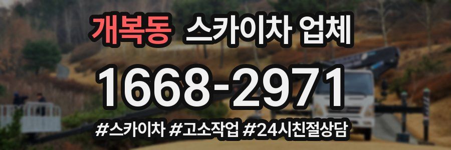 개복동 스카이차 업체