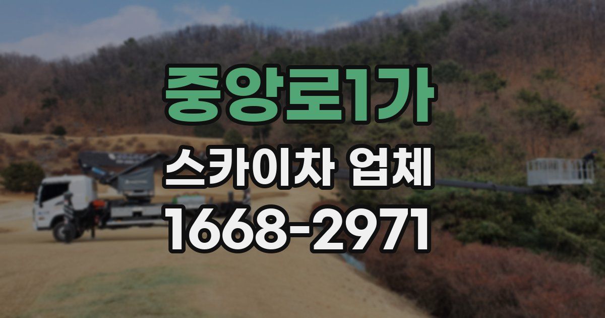 중앙로1가 스카이차 업체
