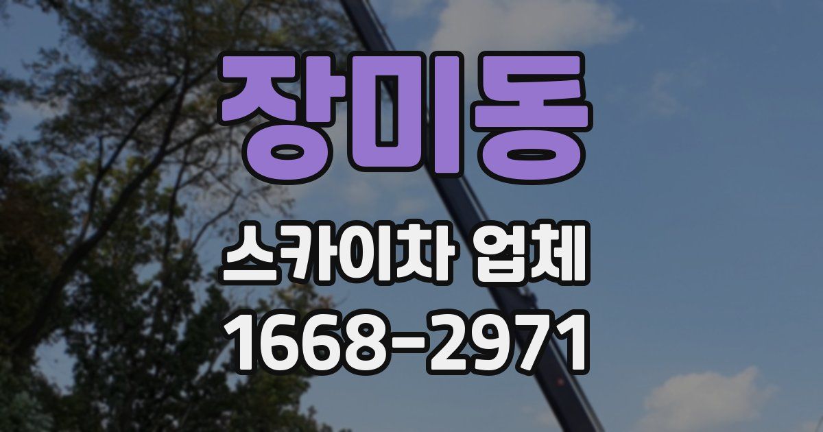 장미동 스카이차 업체