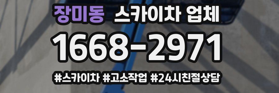 장미동 스카이차 업체
