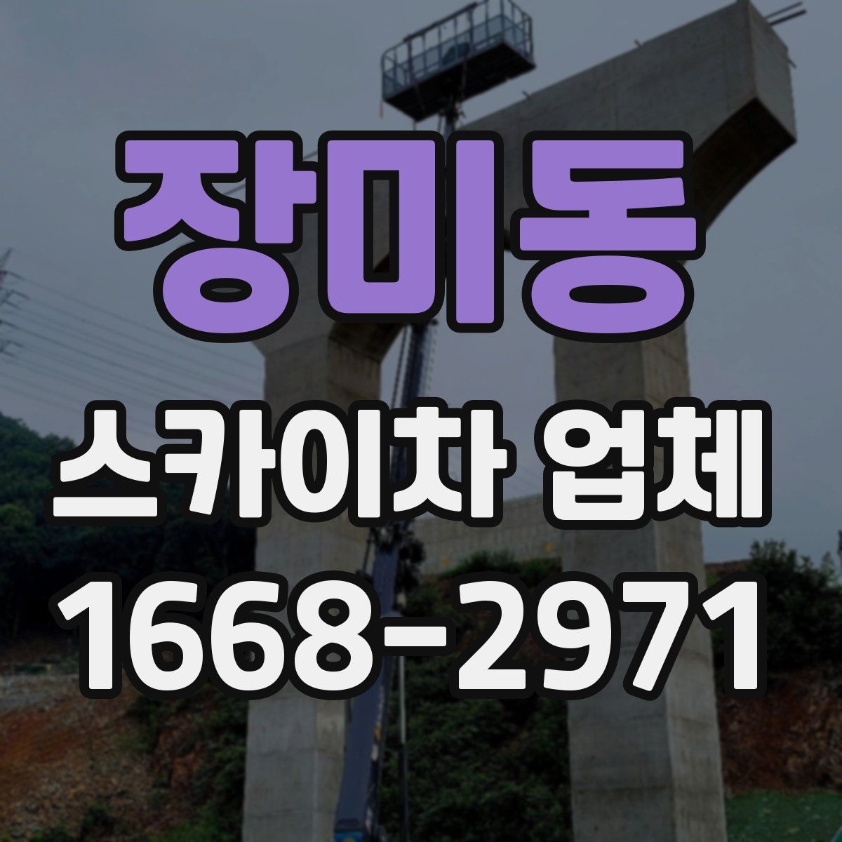 장미동 스카이차 업체