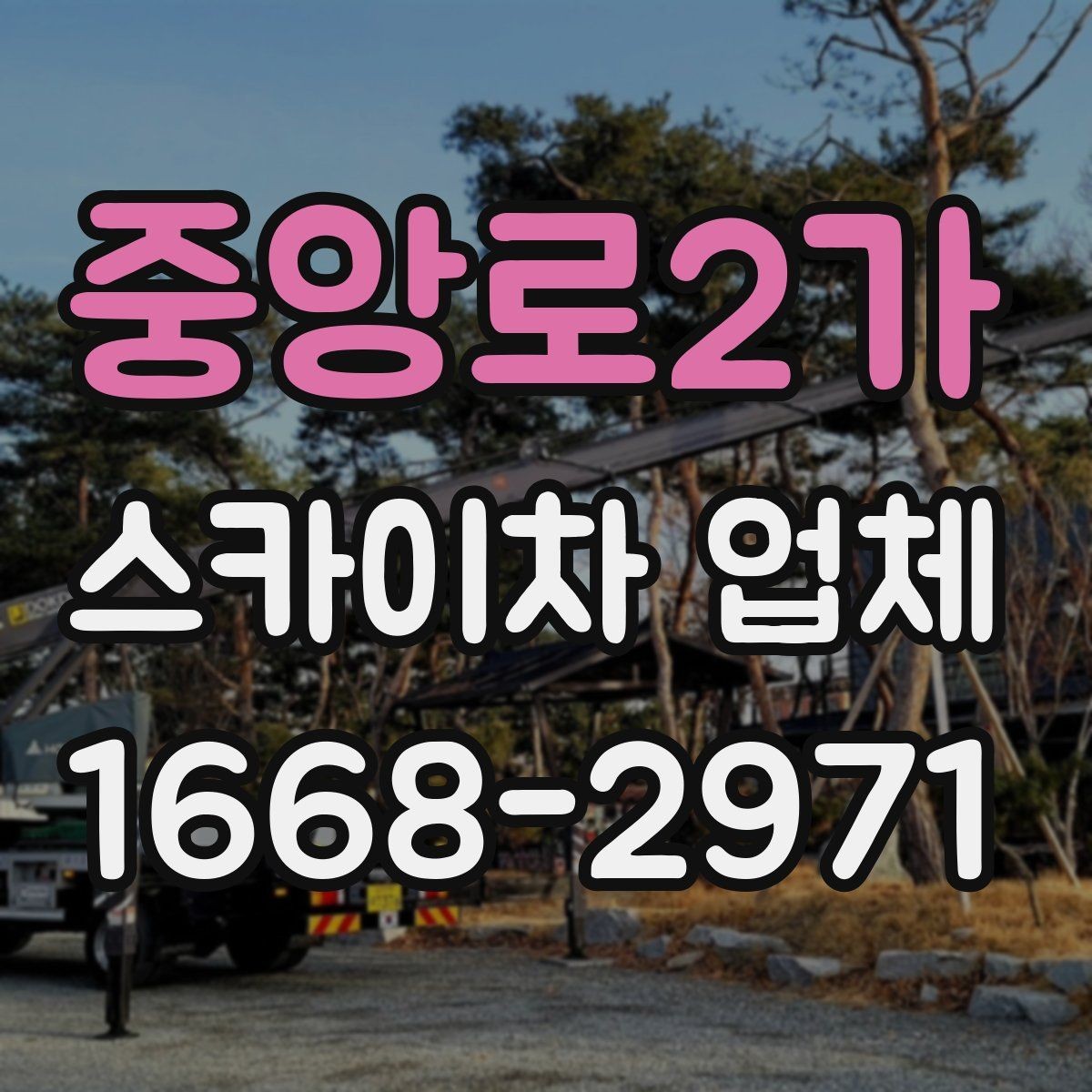 중앙로2가 스카이차 업체 예약 전에 체크할 사항