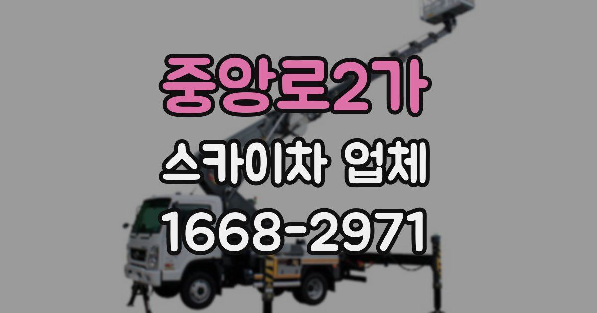 중앙로2가 스카이차 업체