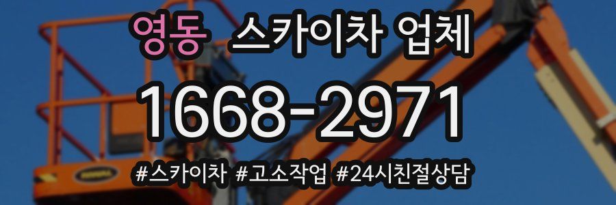 영동 스카이차 업체