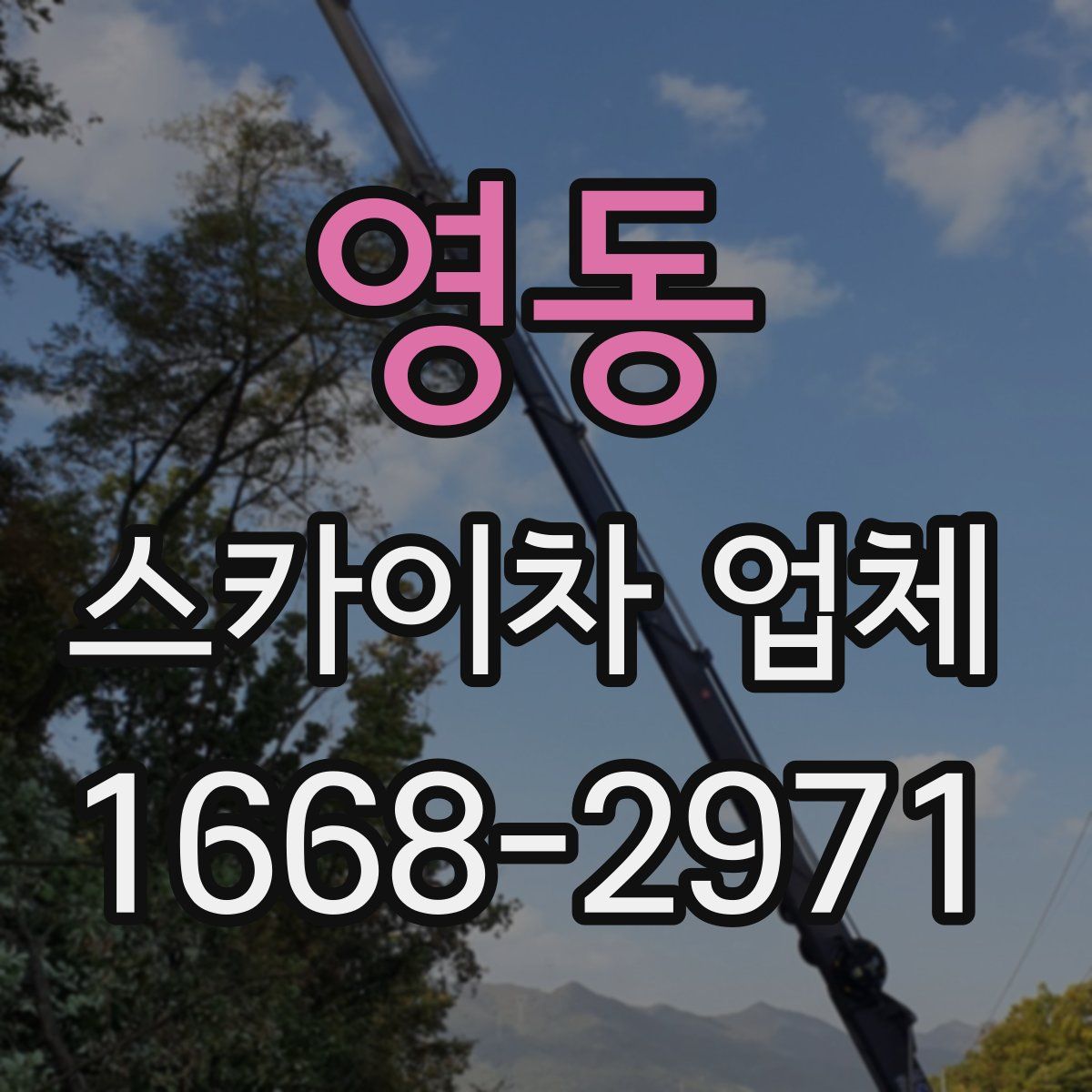 영동 스카이차 업체