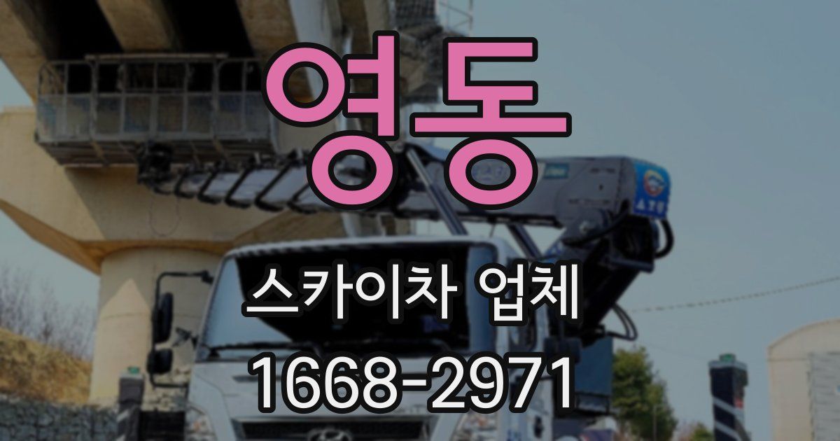 영동 스카이차 업체