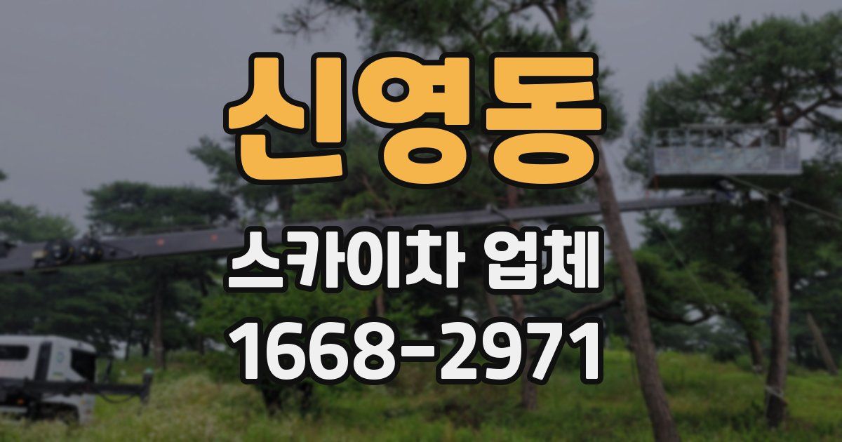 신영동 스카이차 업체