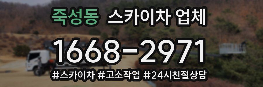 죽성동 스카이차 업체