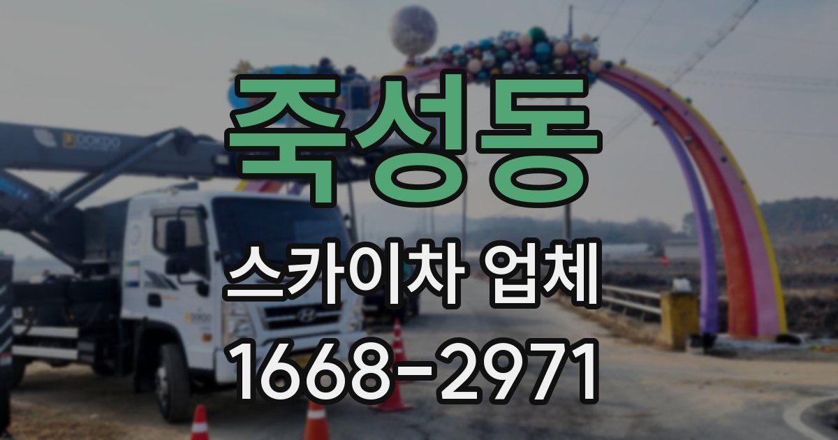 죽성동 스카이차 업체