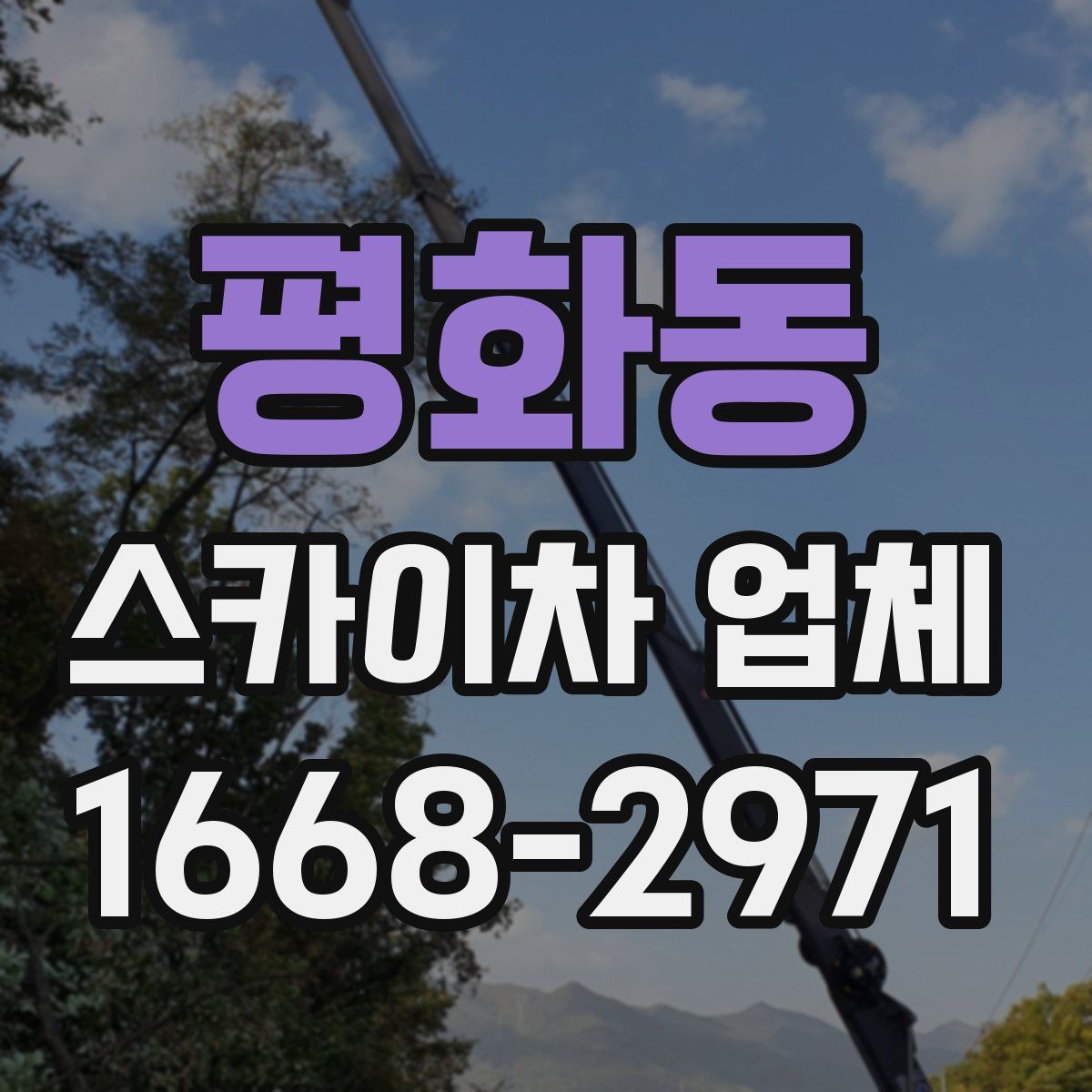 평화동 스카이차 업체