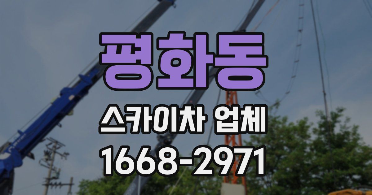 평화동 스카이차 업체